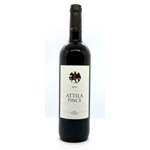 ATTILA PINCE TURÁN 2013