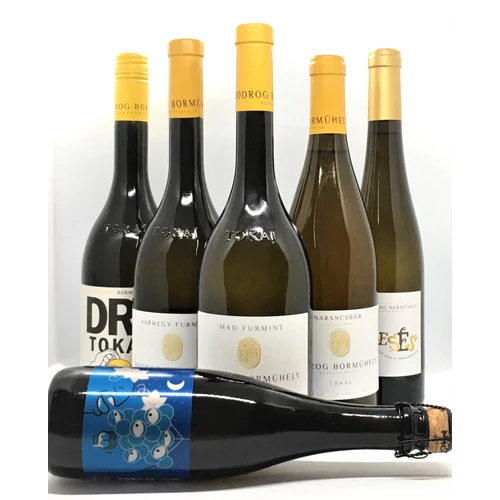 BODROG BORMŰHELY VÁLOGATÁS - 5 tokaji  | 1 tokaji kraft sör